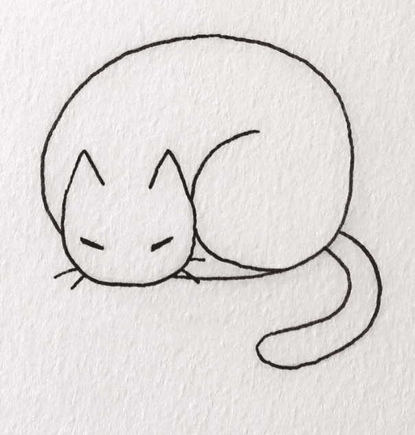 A very wise cat